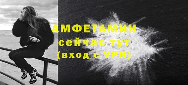 мдпв Ельня