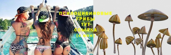 спайс Алексин