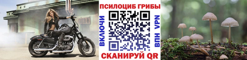 где продают наркотики  Конаково  Псилоцибиновые грибы Psilocybine cubensis 