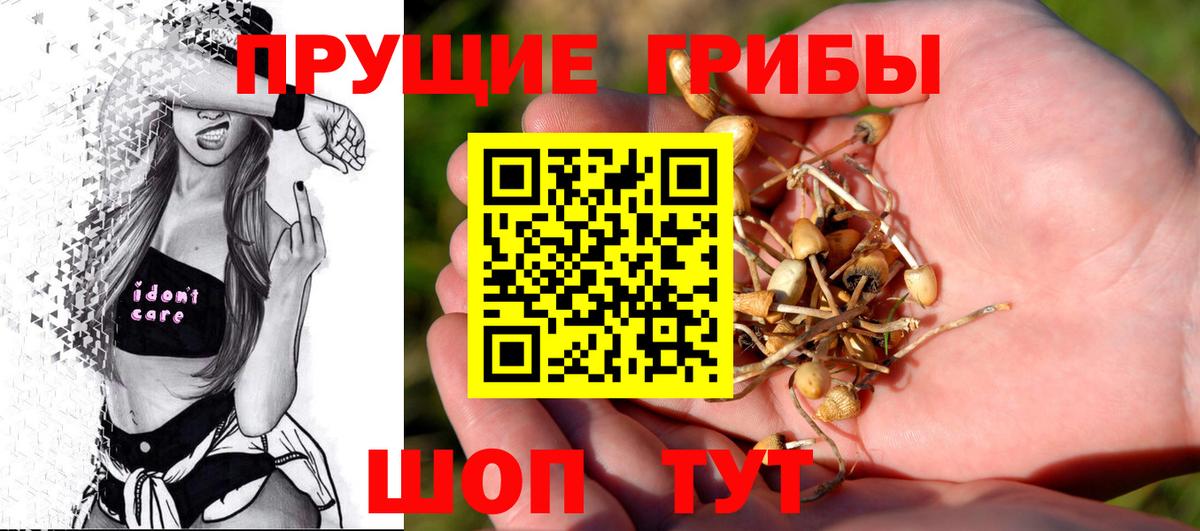 Галлюциногенные грибы MAGIC MUSHROOMS  Вход с VPN  Конаково 